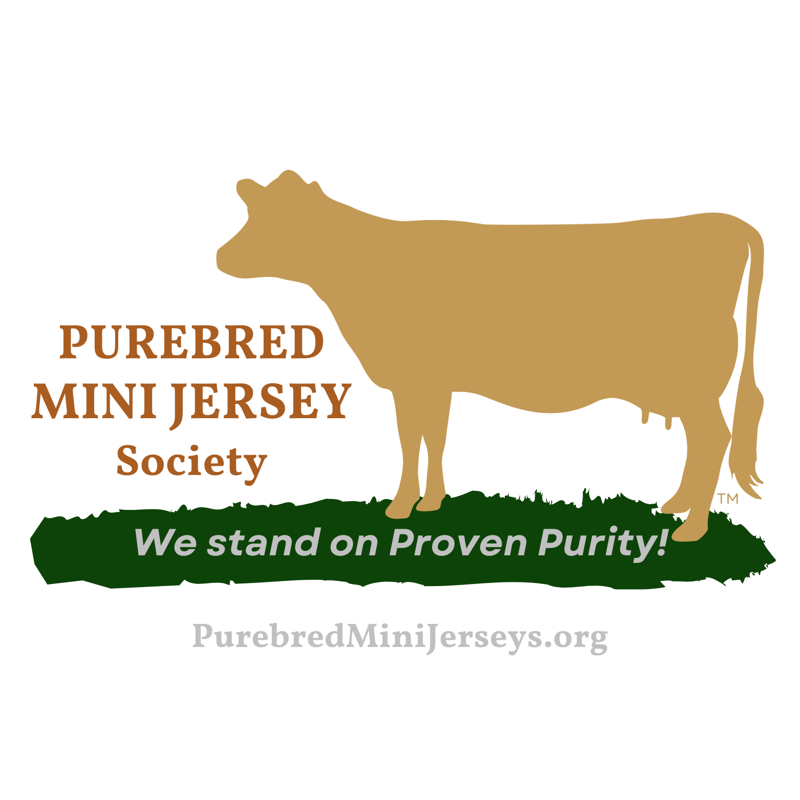 Mini Jersey cows, also known as Miniature Jerseys, are the perfect choice for small-scale dairy farms, homesteading, and family hobby farming. Known for their friendly temperament, rich milk, and manageable production, Mini Jerseys offer all the benefits of full-sized Jerseys but in a more compact size. Often bred to be Polled and produce A2 milk, they're the ideal family cow. If you’re looking to add a Purebred Mini Jersey to your homestead, you’ve come to the right place!