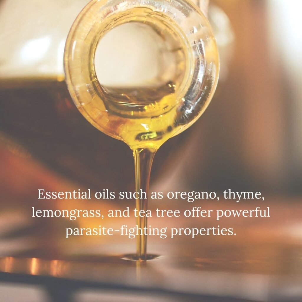 Essential oils such as oregano, thyme, lemongrass, and tea tree offer powerful parasite-fighting properties.